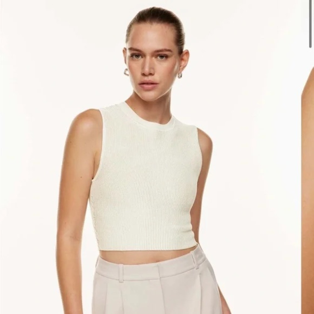 Aritzia/ Babaton contour muscle knit top in Maroon